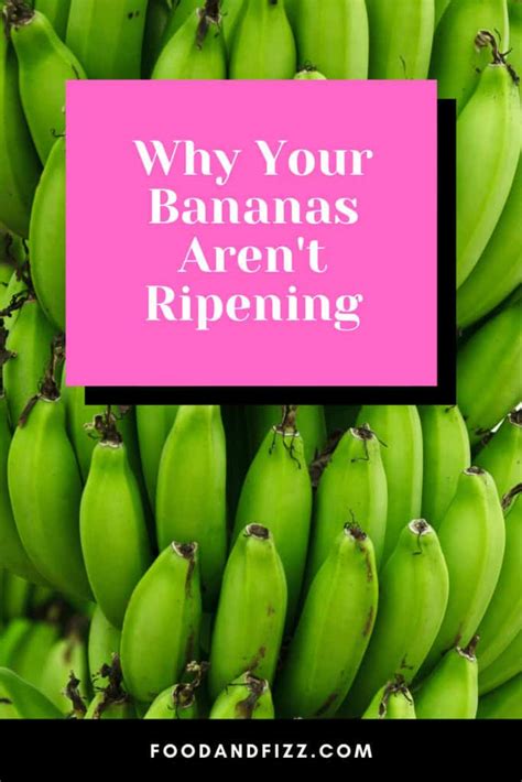 7 Reasons Why Your Bananas Arent Ripening