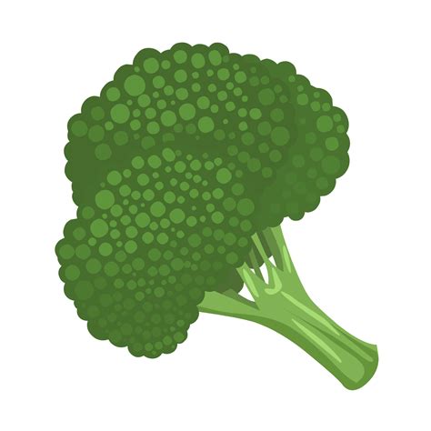 Broccoli Clipart Green Broccoli Broccoli Green Broccoli Transparent