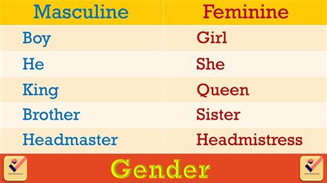 Gender In English Grammar 190 Important Words Masculinefemininecommonneuter Opposite