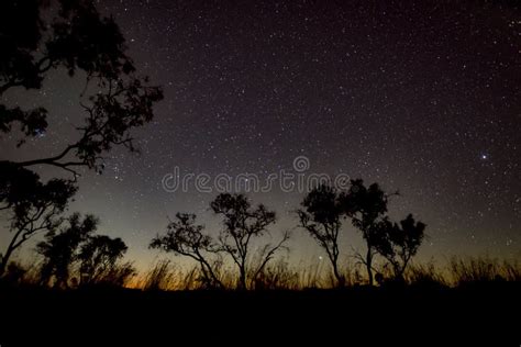 Night Sky Australian Outback Vlakbij Karjini National Park Stock