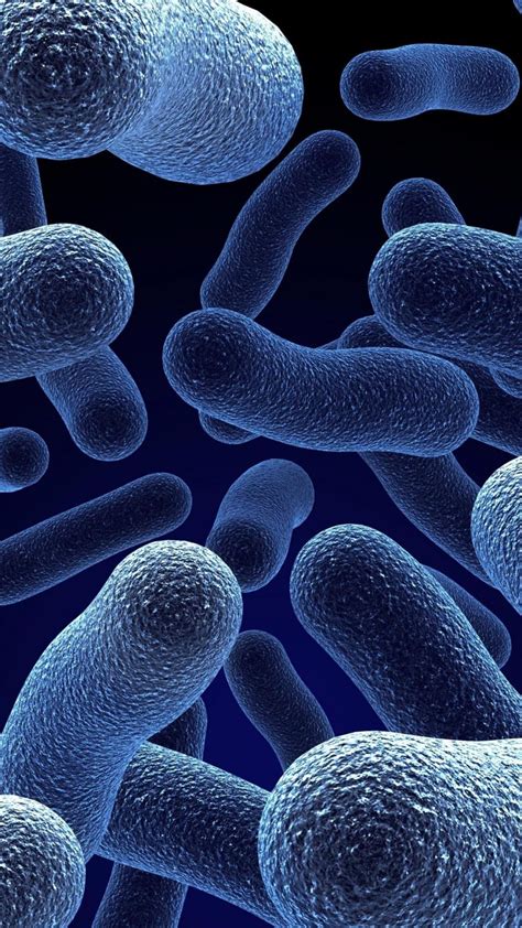 Bacteria Wallpapers Top Free Bacteria Backgrounds Wallpaperaccess