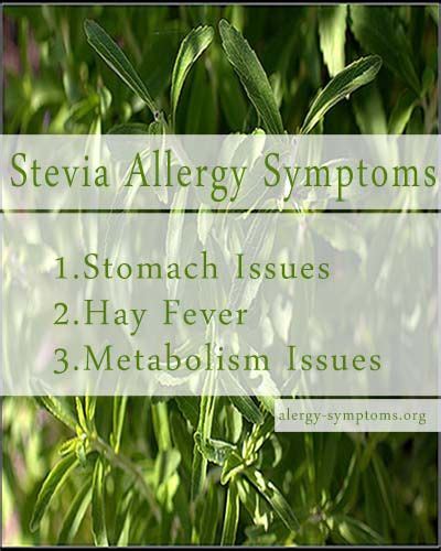 Stevia Allergy Symptoms Stevia Allergies