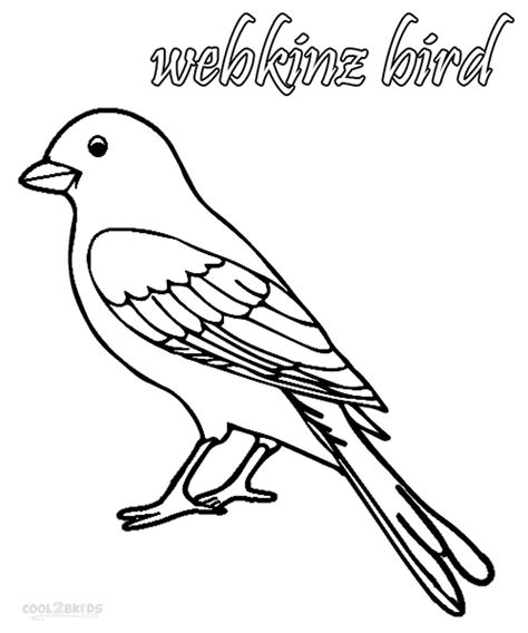 Wild Bird Coloring Pages Best Coloring Page Site Bird Coloring My Xxx Hot Girl