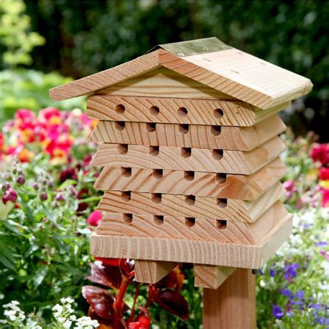 Attracts Non Swarming Bees Solitary Bee House Solitary Bees Mason