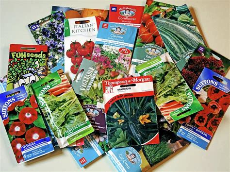 Seed Packets Photograph By Ian Gowlandscience Photo Library Pixels