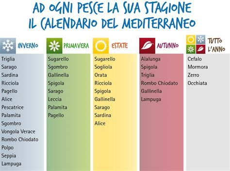 Pesce di stagione a dicembre alice, calamaretto, calamaro, cefalo, dentice, gattuccio, mazzancolla, moscardino, nasello, pagro, panocchia, polpo, rombo, sarago, sardina, seppia, sgombro, sogliola, spigola, spinarolo, tonno rosso, triglia, vongola verace. Che pesci prendere? - Melarossa