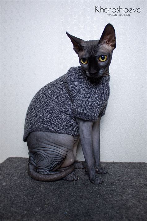 Sphynx Cat Clothes Sewing Pattern Park Art