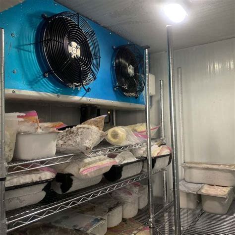 Meat Coldroom Some Cold Room For Meats Require The Temperature Of