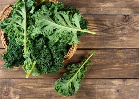 There are a variety of ways that you can include kale in your favorite kale is a brassica vegetable47 that's made a name for itself as one of the healthiest foods you can grow in your garden48 or purchased from your. Kale | SNAP-Ed