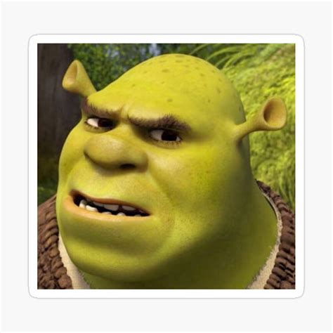 View 10 Shrek Meme Face Confused Factblockpic