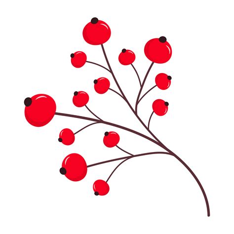 Sprig With Red Berries Holly Mistletoe Ilex Christmas Berries