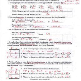 Monohybrid mice ansers / practice with monohybrid punnett squares answer key is a new way of considering defining happiness in every aspect of us. Monohybrid Cross Problems Worksheet with Answers