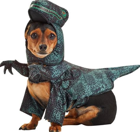 7 Scary Halloween Costumes For Dogs That Are Hilariously Adorable