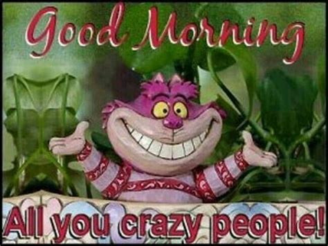 Good Morning Crazy People Pictures Photos And Images For Facebook