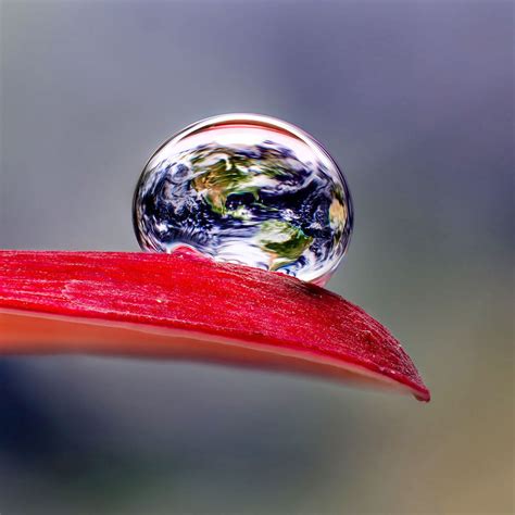 Shooting Water Droplet Refractions For Magical Macro Photos
