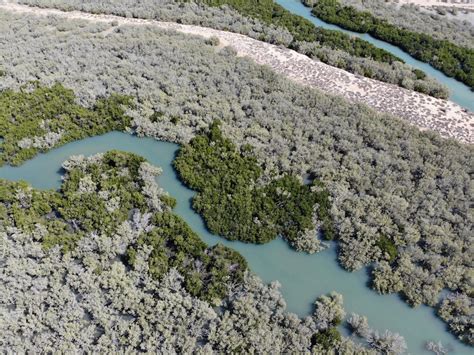 western australia s exmouth gulf and ningaloo coast world heritage area named a hope spot in