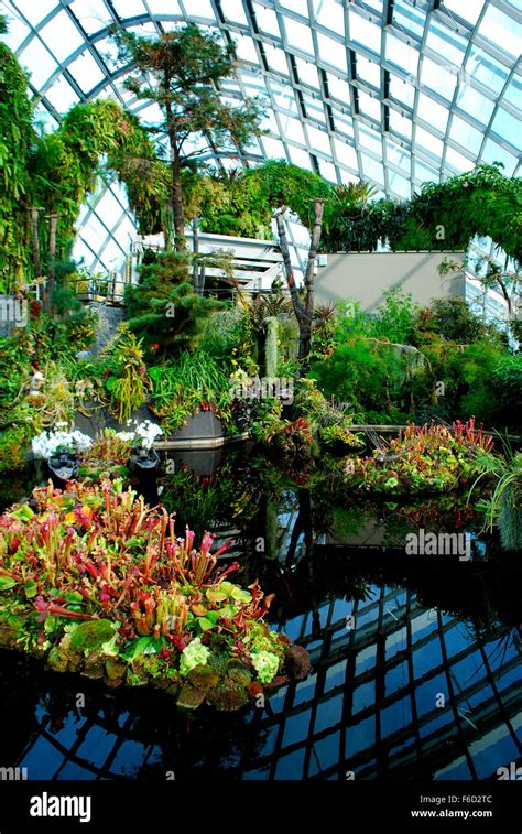 The Flower Dome At Gardens By The Bay Singapore Stock Photo Alamy