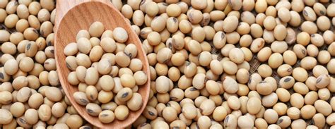 A Guide To Foods Rich In Soy Patient Education Ucsf Health