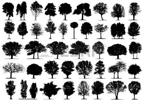 Trees Silhouettes The Beauty Of Art And Nature Combined In One Photo