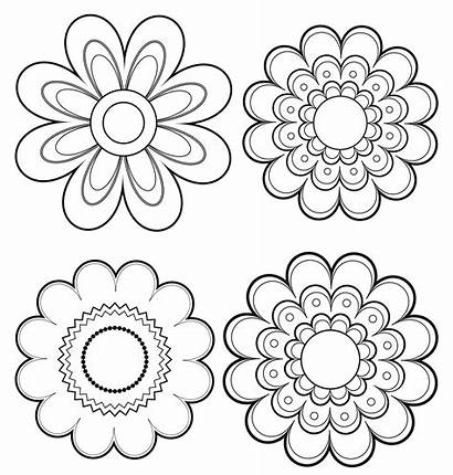 Flowers Mexican Flower Drawing Coloring Clip Pages