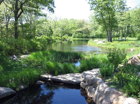 Pond In The Woods Indigo Farm