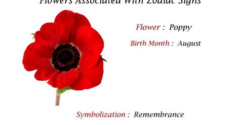 The Poppy Is The Birth Flower For Those Born In The Month Of August
