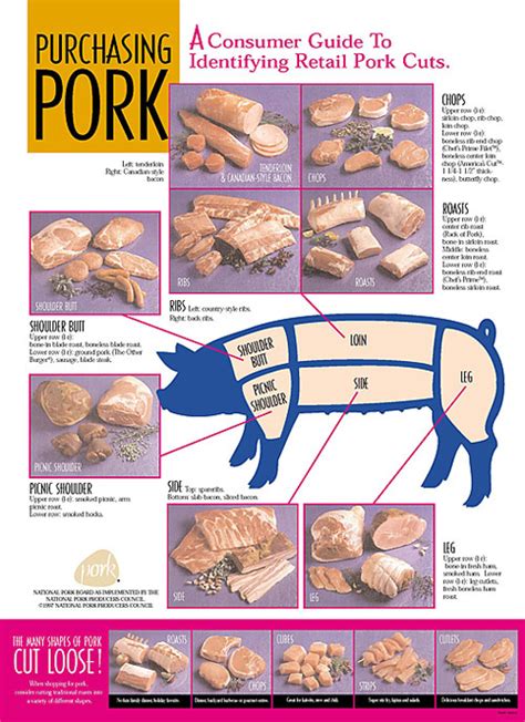 Pork Chart Cuts Of Meat