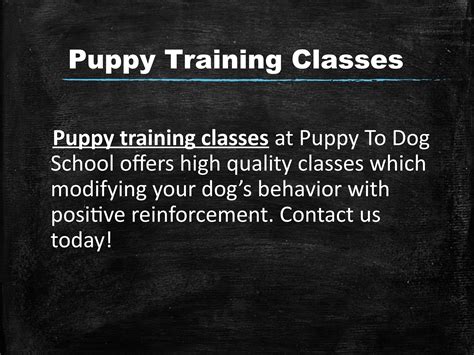 Puppy Training Classes By Puppy To Dog School Issuu