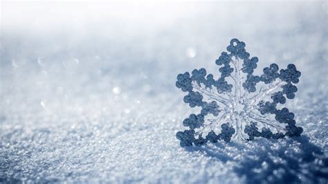Snowflake 4k Ultra Hd Wallpaper And Background Image 3840x2160 Id