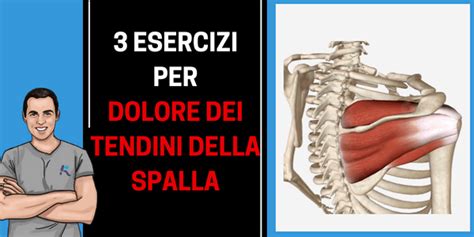 La spalla dolorosa è una problematica che colpisce sempre più persone, di tutte le età, sportivi e non. Tendinopatia della spalla (sovraspinato, sottospinato): 3 ...