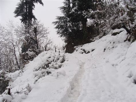 March month best months to visit kufri when the snowfall is at its peak. Manali Bookings: Fresh snowfall in Manali