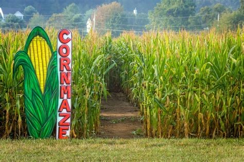 Get Lost 16 Epic Corn Mazes To Explore This Fall