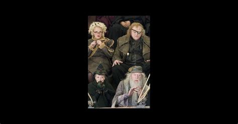 Harry Potter And The Goblet Of Fire Streaming Vo - Harry Potter et la Coupe de feu (2005), un film de Mike Newell