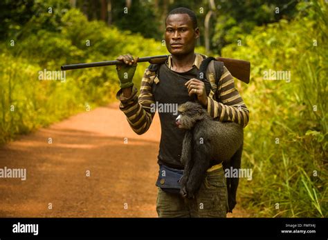 Poacher Gabon Central Africa Stock Photo Alamy