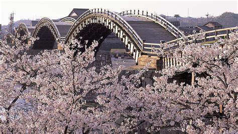 Japans Top 100 Blossoms Kikkō Parks Kintai Bridge Yamaguchi