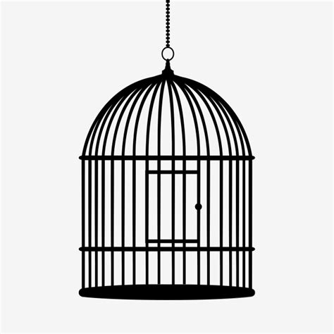 Empty Birdcage Cartoon Cage Cage For Birds Cage Birdcage Empty Png