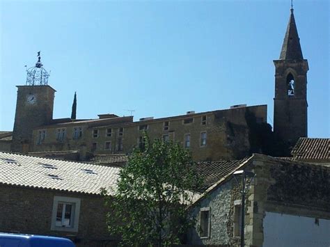 Sa tête jaune est agrémentée de bandes foncées. Grillon France (avec images) | Drome provencale, Vaucluse ...