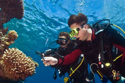 Skills Needed To Be A Marine Biologist