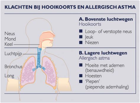 Hooikoorts symptomen variëren in ernst, soms heb je aantal seizoen minder genf meer last. Hooikoorts | ALLERGIE CENTRUM HASSELT Allergie dokter ...