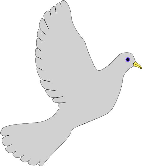 Columbidae Bird Transparency And Translucency Domestic Pigeon Dove