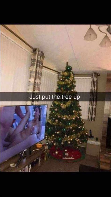 Just Put The Christmas Tree Up Porn Lolz