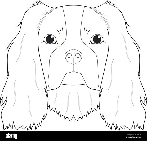 Cavalier King Charles Spaniel Coloring Page Sketch Coloring Page