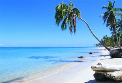 playa cosón the perfect tropical environment