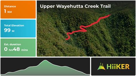 Upper Wayehutta Creek Trail Jackson County North Carolina