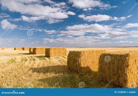 Square Hay Bales Stock Photo Image Of Golden Square 1358960