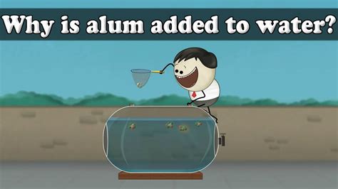 Water Purification Why Is Alum Added To Water Aumsum Kids