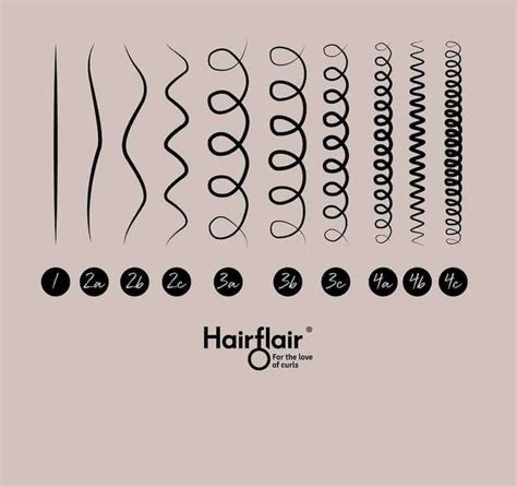 Curl Types Hair Chart How To Find Your Curl Type Hairflair