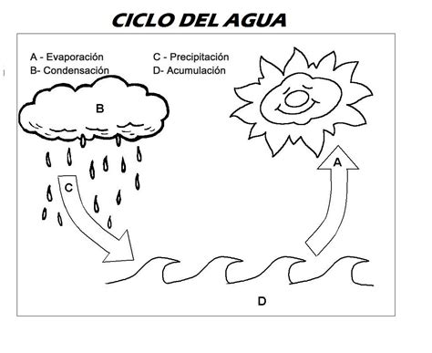 Ficha Educativa Aprender El Ciclo Del Agua