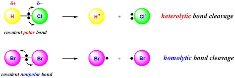 Polar Covalent Bond Cartoon