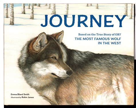 Journey Based On The True Story Of Or7 The Most Famous Wolf In The